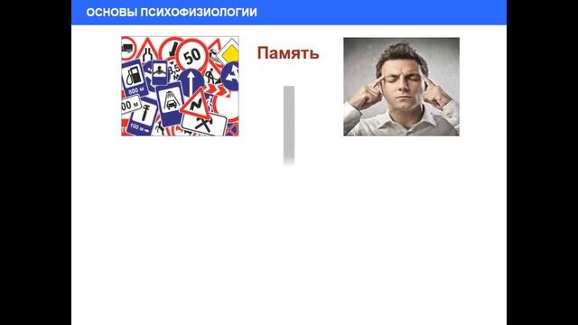 06.10.2017 19:00 МСК. Психофизиологические основы деятельности водителя. смотреть онлайн