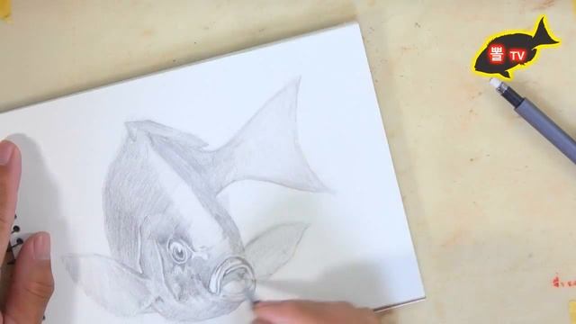 Draw a fish 벵에돔 그리기-뽈 드로잉 смотреть онлайн