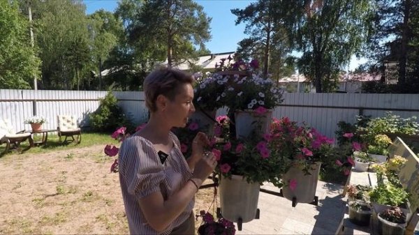 ПЕТУНИЯ ВИСТА.ОБЗОР СОРТА ВИСТА 2022