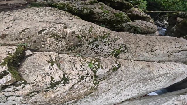 Где то в лесу (Somewhere in the forest) смотреть онлайн