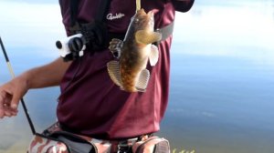 Новичкам о спиннинге #2. Как выбрать строй спиннинга?