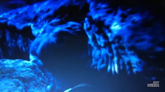 5 невероятно больших животных!?Синий кит, морской крокодил, исполинская саламандра,краб-паук,калонг смотреть онлайн