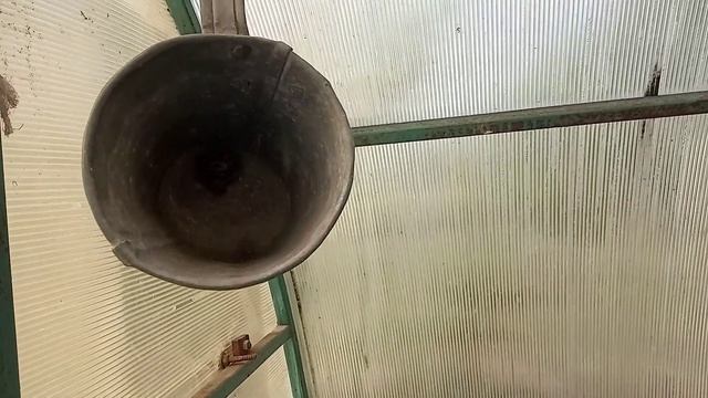 Осиное гнездо в старом ковши для воды. Видео Нусратуллина. смотреть онлайн