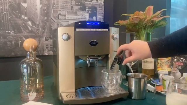 JAVA Fully Auto Coffee Machine WSD18-010A: How To Clean The Professional-Cappuccino Frother смотреть онлайн