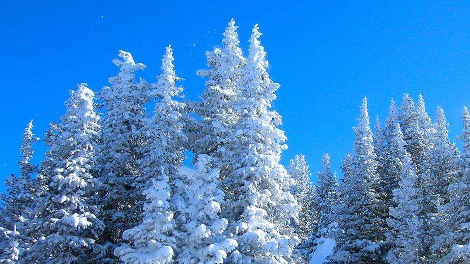 Дача за 150.000р - 4 серия: Организовываем быт