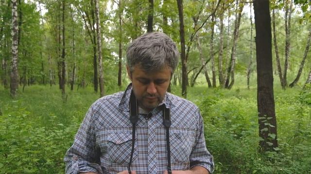 Как добиться максимального качества фотографий на Nikon D3300 ?