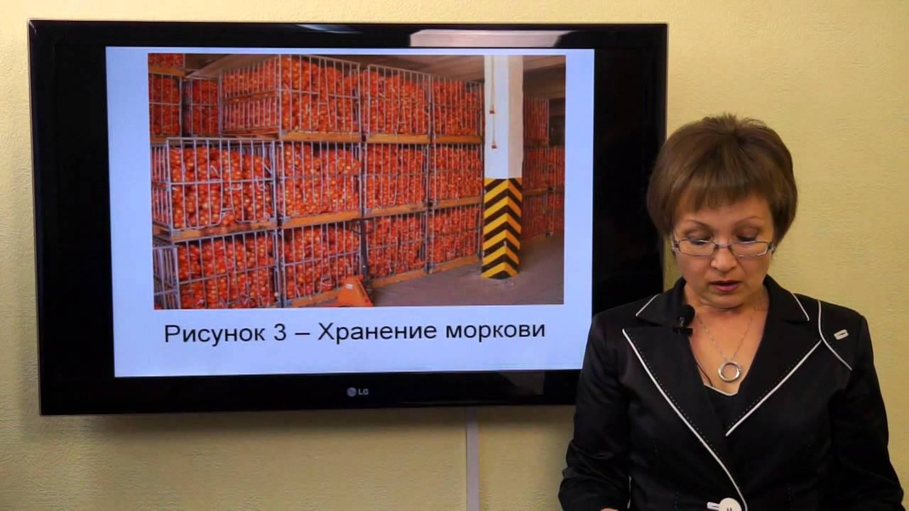 Козина Е.А. Корнеклубнеплоды, бахчевые и водянистые корма в кормлении сельскохозяйственных животных смотреть онлайн