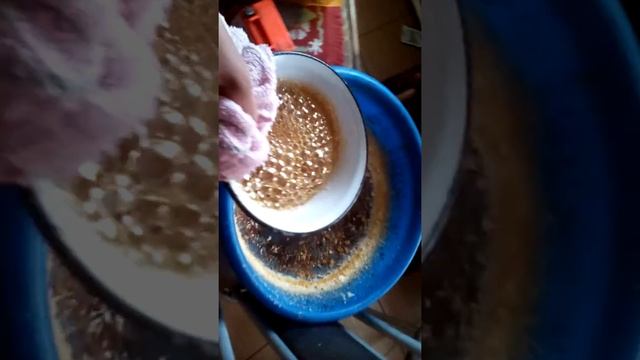 Сахарная вата дома смотреть онлайн