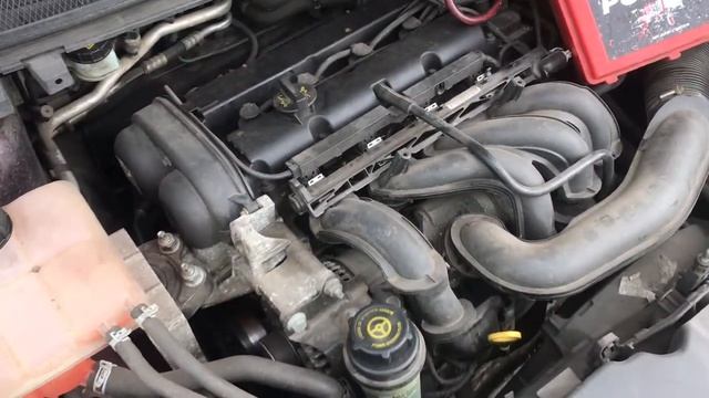 Разборка Ford - Focus 2 2008-2011, 1.6 Инжектор (VIN: WF0PXXWPDP8C21740) SC08VEV смотреть онлайн