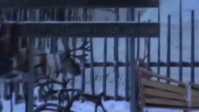 Финляндия. Деревня Санта-Клауса (Рованиеми, Лапландия). 03.01.2012. Вечер смотреть онлайн