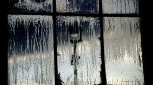 Иосиф Бродский. Стихи. "Любовь". Читает Жорж Октавио