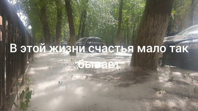 текст песни тополиный пух смотреть онлайн