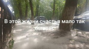 текст песни тополиный пух