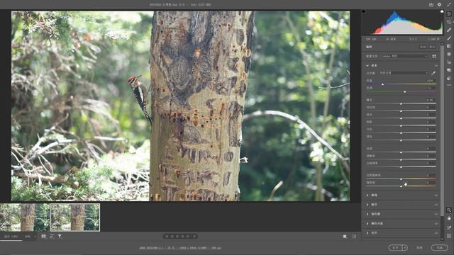 6亿像素不是梦——Adobe Camera Raw最新更新：超级分辨率 （Photoshop 轻松放大4-16倍像素，裁切党的福音，大尺寸打印，超大显示屏显示） смотреть онлайн