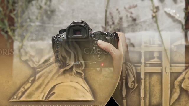 The Untold story of Kevin Carter ! смотреть онлайн