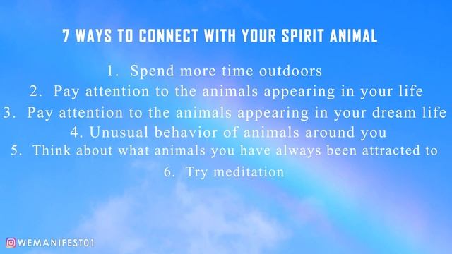 7 Ways to Connect with your Spirit Animal in Hindi | What is Spirit Animal | Your soul animal смотреть онлайн