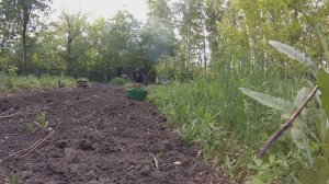 Делаем новые грядки на заросшем участке