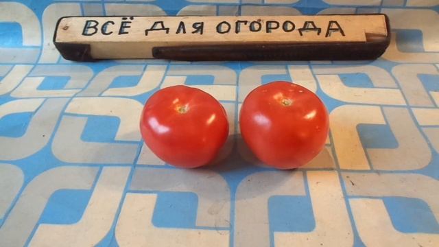 Как вырастить рассаду их магазинных томатов . смотреть онлайн