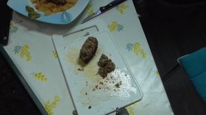 Размножаю черемшу луковицами и семенами одновременно.