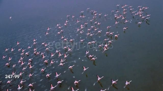 World Explorers Intro 2 (Remastered) смотреть онлайн