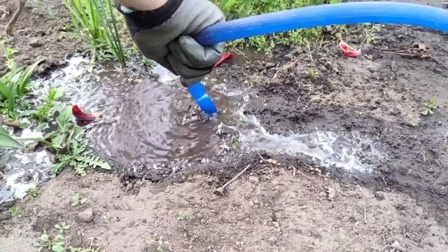 Норы на садовом участке. Кто их роет и живёт в них? Решили проверить! смотреть онлайн
