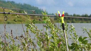 Рыбалка на донки. Август 2024.