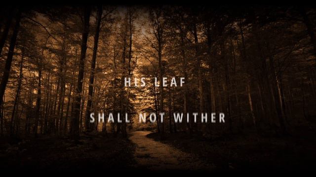 Psalm 1- Sons of Korah смотреть онлайн
