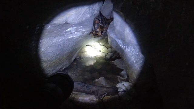 Укрытие из пещеры. Самодельное средство от комаров. смотреть онлайн