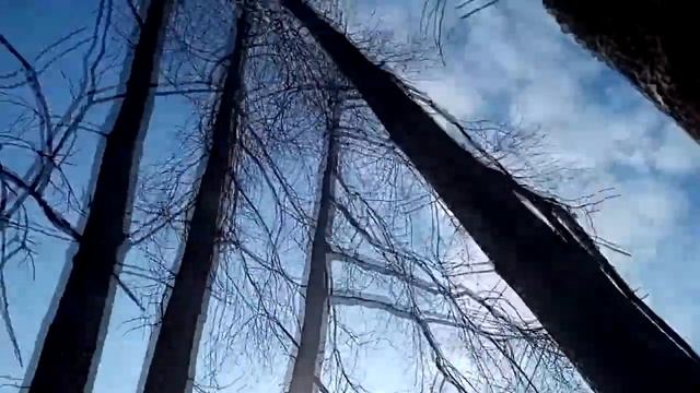 Река Яйва, Пермский край, Легино 13 10 2020, то ли рыбы нет то ли я не рыбак. Закрытие сезона. смотреть онлайн