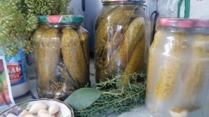 Причины помутнения рассола маринованных огурцов