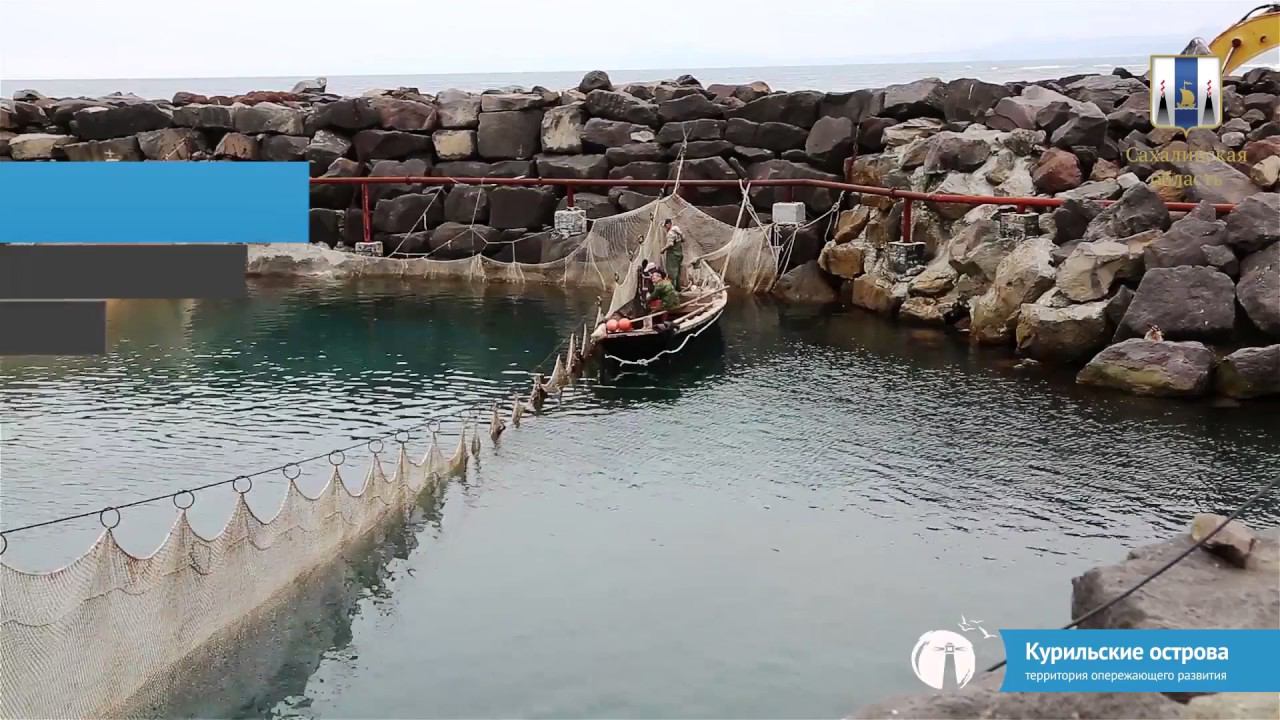 Производство видеорекламы для инвесторов. Создание инфографики. смотреть онлайн