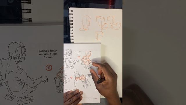Anatomy For Artists Drawing Form & Pose:Study
