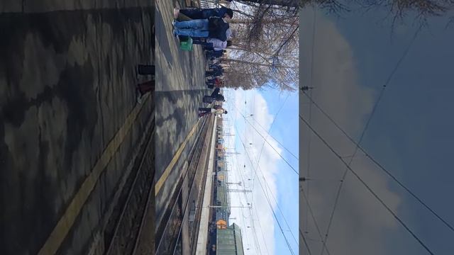 прибывает поезд мурманск санкт питербург на стануию апатиты смотреть онлайн