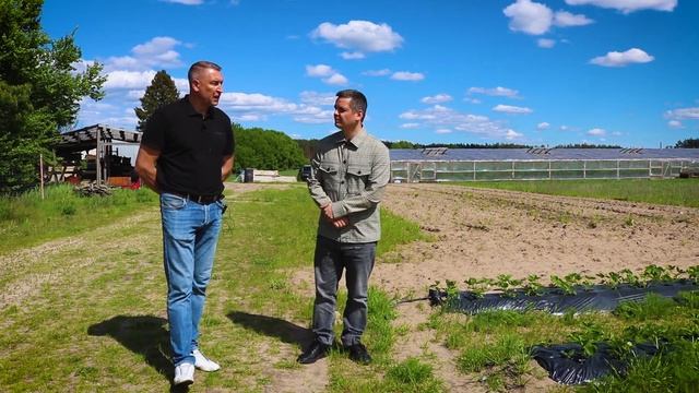 Как заработать на клубнике? Бизнес на ягодах. Как вырастить и заработать на клубнике? смотреть онлайн