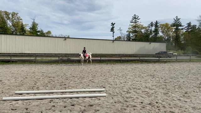 Amber F & Splash of Sass | Green Horse Hunter U/S WT | Class 22 смотреть онлайн