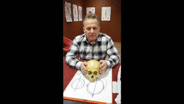Плагиоцефалия и краниостеноз черепа, выравнивание головы по методу Гитя Ф.Н. смотреть онлайн