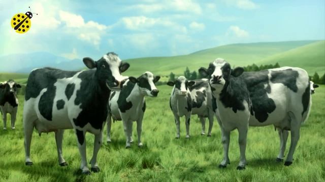 FUNNY COW DANCE 5 │ Cow Song Dance & Cow Videos 2024