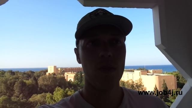 Какой язык программирования выбрать Java JS Python PHP? смотреть онлайн