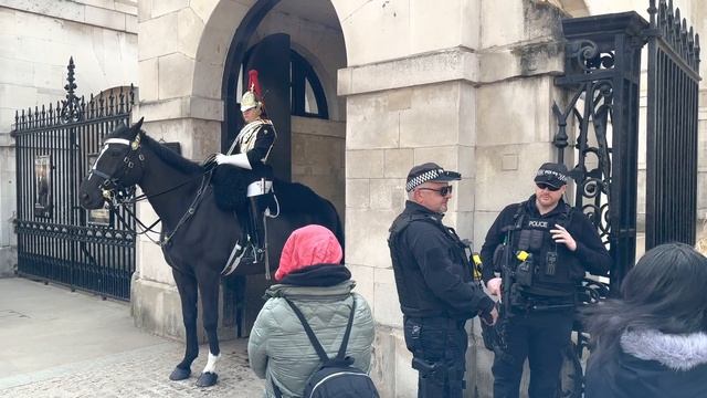 King's Guard Emergency Call? смотреть онлайн