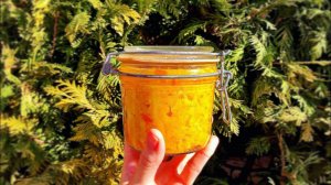 Ароматическая цитрусовая паста для Панеттоне, десертных кремов и сдобной выпечки!