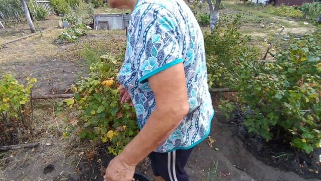 #32 Купили дачу? Делаем яблочный сок? Убираем грядки? смотреть онлайн