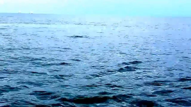Дельфины в открытом море у борта яхты, Сочи, 28 сентября 2014 г смотреть онлайн