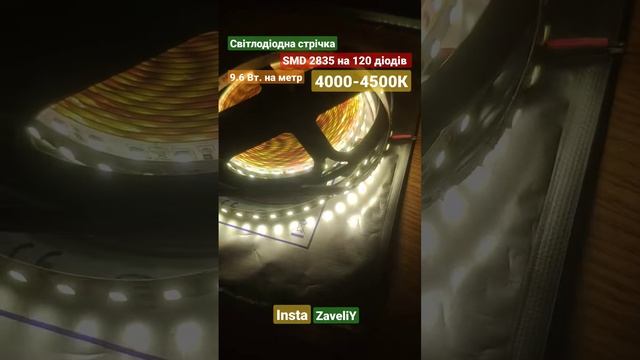 MTK-600NW3528-12 (4000K-4500K) Світлодіодна стрічка SMD 2835 120 LED нейтральний #ledlenta #zaveliy смотреть онлайн