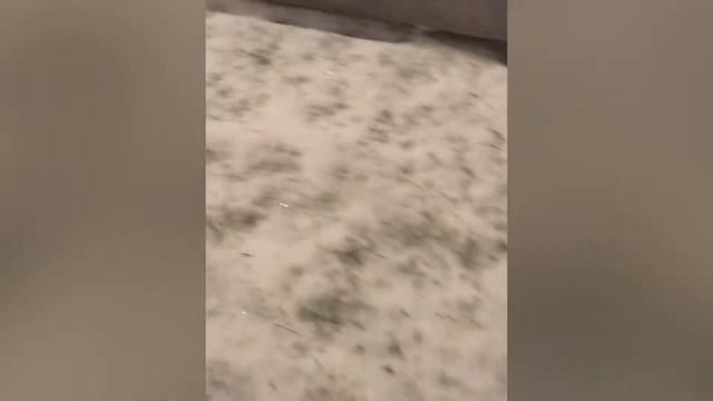 Ураган Бенедикт в Москве смотреть онлайн