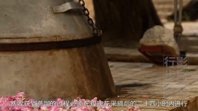 世界上最純的波斯玫瑰水，來自世界玫瑰之都，伊朗卡尚，Kashan，Iran，the purest Persian rose water from World Rose Capital смотреть онлайн