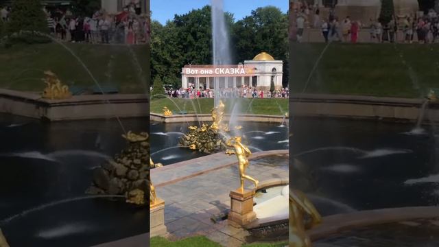 А ВЫ БЫВАЛИ В ПЕТЕРГОФЕ?❤️🔥😌#петергоф#спб#россия#travel#travelvlog#like смотреть онлайн