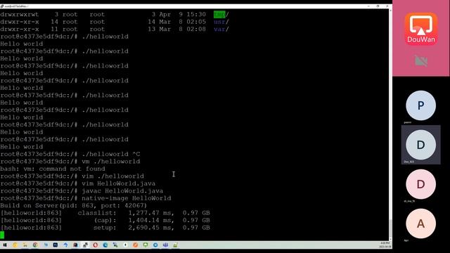 Обзор JDK - GraalVM. Компиляция Java в нативный код. смотреть онлайн