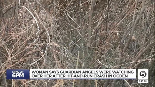 Woman Says 'Guardian Angels' Saved Her From Plunging Into Ogden River смотреть онлайн