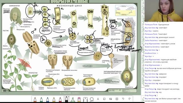 Биология. ЕГЭ2021. Семенные растения