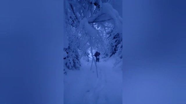 Первый выезд на охоту в 2021 / УАЗ вместо снегохода / прогулка на свежем воздухе. смотреть онлайн